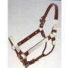 Silver Royal Mirrored Edge Silver Show Halter