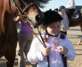 Equine Kingdom - Pink ribbon winner