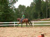 Equine Kingdom - Prissy riding video