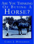Are You Thinking Of Buying A Horse?