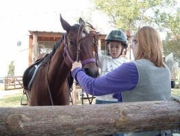 Equine Kingdom - 