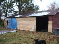 Equine Kingdom - Our new barn in the midst of a renovation