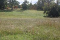 Equine Kingdom - Acres of riding fields