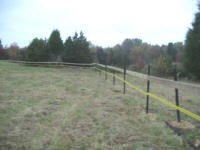 Equine Kingdom - Our new riding arena