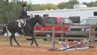 Equine Kingdom - Flintrock Farm Hunter Competition, October 10, 2009